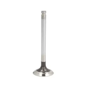 Zawór wydechowy (41x9x123mm) pasuje do PERKINS 1004-4T (70 kW) Ostatnia szansa